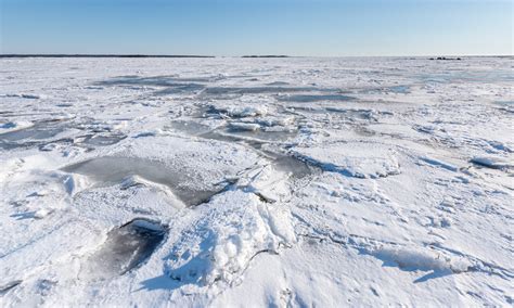 baltic sea ice cover